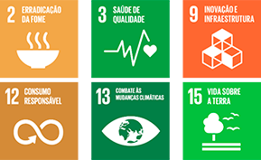 Objetivos de Desenvolvimento Sustentável da ONU
